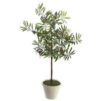 Vickerman 27" Artificial Olive Hill Tree Potted in Round White Container