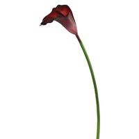 View 28" Artificial Burgundy Large Stem Calla Lily