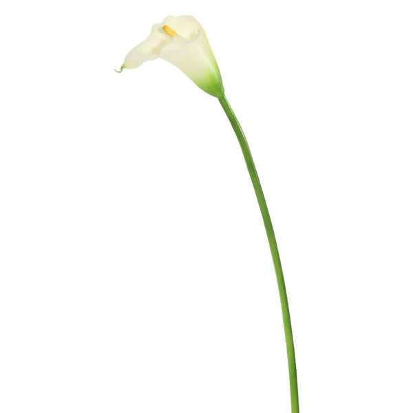 28" Artificial Ivory Large Stem Calla Lily