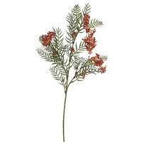 Vickerman 30" Artificial Green Brazil Berry and Leaf Spray