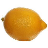 Vickerman 4" Yellow Styrofoam Lemon (12 pack)