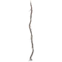 Vickerman 6' Artificial Twig Garland