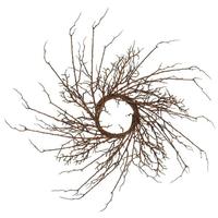 Vickerman 30" Artificial Brown Thicket Imitated Branch Wreath