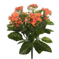 Vickerman 17.3" Artificial Orange Kalanchoe Bush