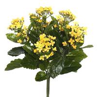 View 17.3" Artificial Yellow Kalanchoe Bush