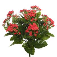 Vickerman 15.5" Artificial Red Kalanchoe Bush