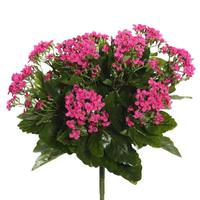 View 15.5" Artificial Hot Pink Kalanchoe Bush