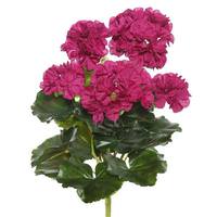 Vickerman 14.5" Artificial Purple Geranium Bush