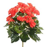 View 15.25" Artificial Orange Begonia Bush