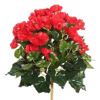 Vickerman 15.25" Artificial Red Begonia Bush