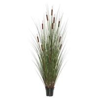 Vickerman 24" Artificial Potted Green Grass with 5 Cattails