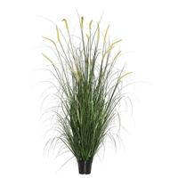 Vickerman 48" Artificial Potted Foxtail Grass