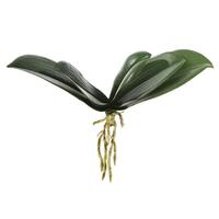 Vickerman 9.5" Artificial Green Orchid Leaf Stem (3 pack)