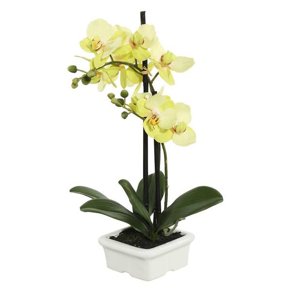 15.5" Artificial Green Orchid Flower with White Ceramic Container