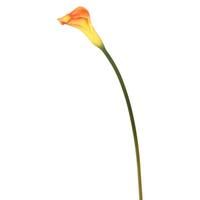 Vickerman 26" Artificial Orange Calla Lily Stem (6 pack)