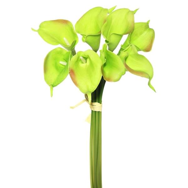 14" Artificial Green Calla Lily Bundle