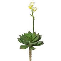Vickerman 11" Artificial Echeveria Stem Pick (3 pack)