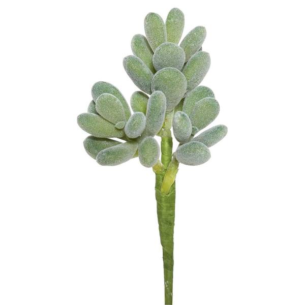 7" Green Artificial Crassula Stem Pick (3 pack)