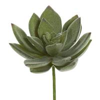 Vickerman 4" Artificial Echeveria Pick (3 pack)