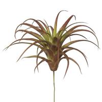 Vickerman 6.5" Artificial Green/Red Tillandsia Pick (3 pack)
