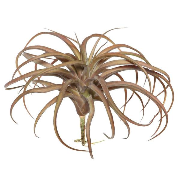 10.5" Artificial Tillandsia Pick