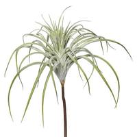 View 15" Artificial Tillandsia Pick