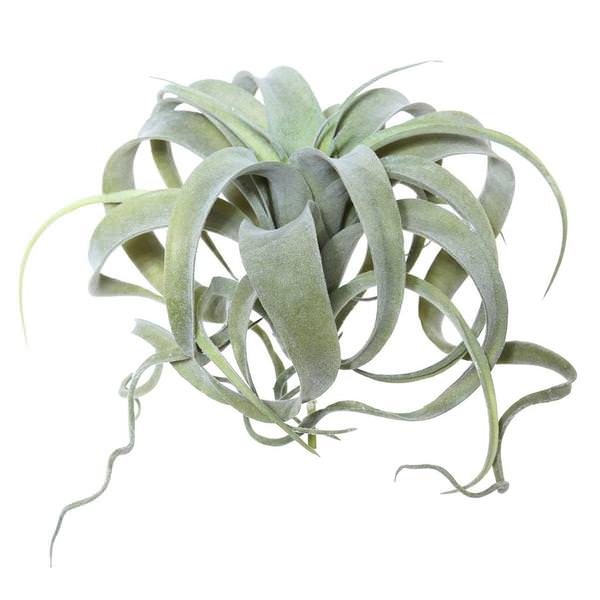 10.5" Artificial Green Tillandsia Pick