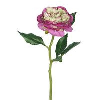 View 13" Artificial Purple Rose Stem (6 Pack)