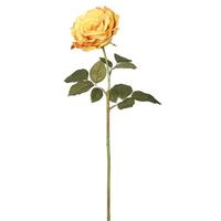 Vickerman 25" Artificial Dark Yellow Open Rose Stem (6 pack)