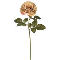 Vickerman 25" Artificial Brown Open Rose Stem (6 pack)