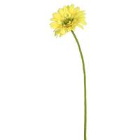 Vickerman 21" Artificial Yellow Gerbera Daisy (6 Pack)