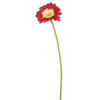 Vickerman 21" Artificial Red Gerbera Daisy (6 Pack)