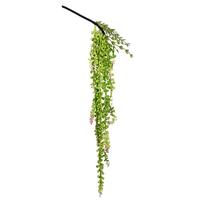View 26" Artificial Green String of Pearls Pick (3 pack)