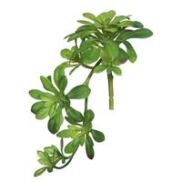 View 11" Artificial Aeonium Spray (3 pack)