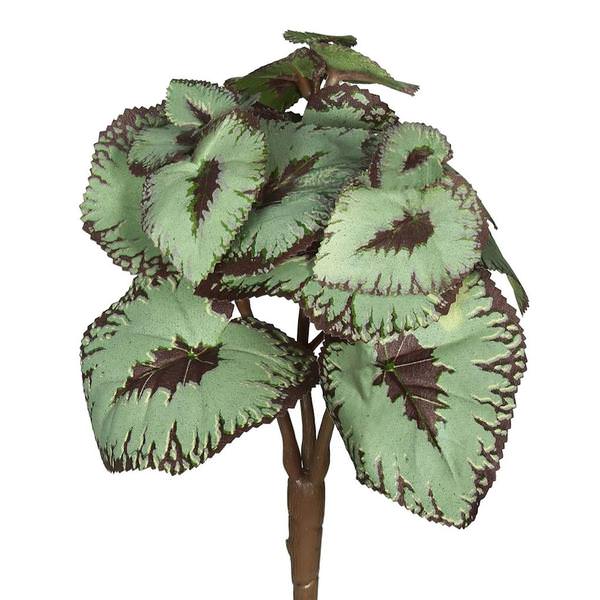 8" Artificial Green/Burgundy Begonia Spray (3 pack)