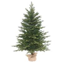 Vickerman 30" x 24" Artificial Larkspur Fir Christmas Tree 50 Warm White LED Lights