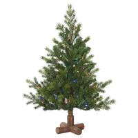 Vickerman 3' x 29" Artificial Eagle Frasier Fir Tree 100 Multi Color LED Lights