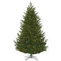 Vickerman 10' x 77" Artificial Eagle Frasier Fir 1250 Clear Miniature Lights