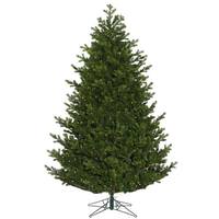 Vickerman 10' x 77" Artificial Eagle Frasier Fir 1250 Warm White LED Lights