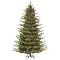 Vickerman 12' x 86" Artificial Oak Frasier Fir 1700 Clear Miniature Lights