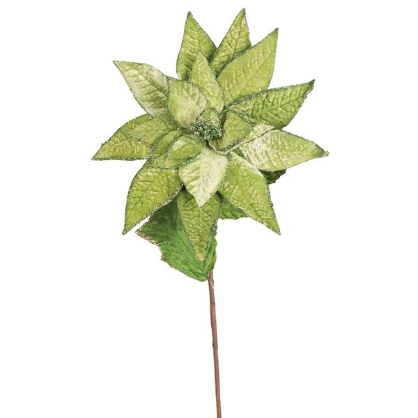24" Lime Green Poinsettia Stem (3 pack)