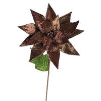 View 24" Chocolate Poinsettia Stem (3 pack)