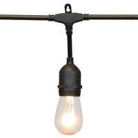Vickerman 12 Light 24' Black Wire Clear S14 Bulbs Light String