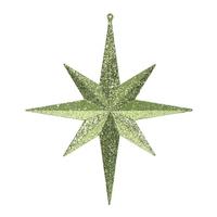 Vickerman 12" Lime Glitter Bethlehem Star Ornament (2 pack)