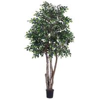 Vickerman 72" Potted Artificial Executive Mini Ficus Tree