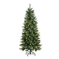 Vickerman 5.5' x 25" Artificial Mixed Brussels Pencil Pine 250 Clear Miniature Lights