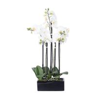 Vickerman 21" Artificial White Orchid With Ceramic Container