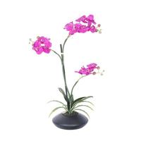 Vickerman 25" Artificial Purple Orchid With Ceramic Container