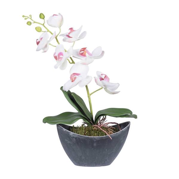 21" Artificial White Orchid Arrangement With Oval Container