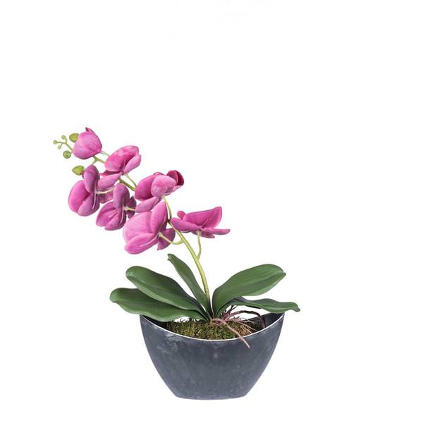 20.5" Artificial Magenta Orchid Arrangement With Oval Container